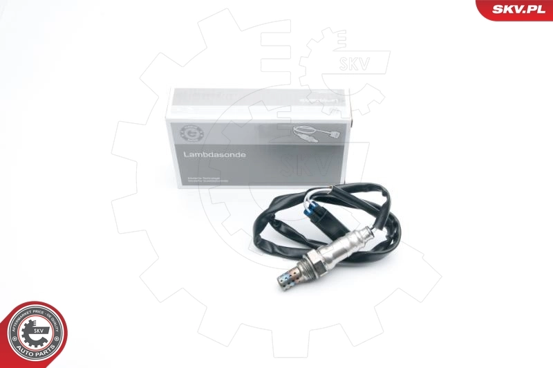 Oxygen Sensor